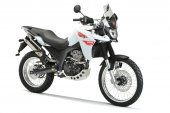 2010 Derbi Terra Adventure 125 photo